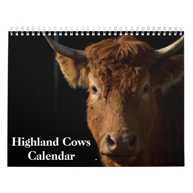 Höglands Kor 2027 Kalender (Omslag)