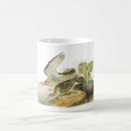 HöglandSandpiper vid Audubon Kaffemugg