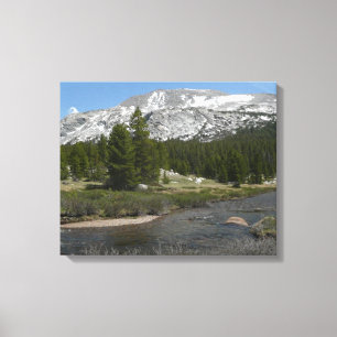 Höglandsbergström II vid Yosemite Canvastryck