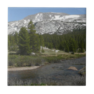 Höglandsbergström II vid Yosemite Kakelplatta