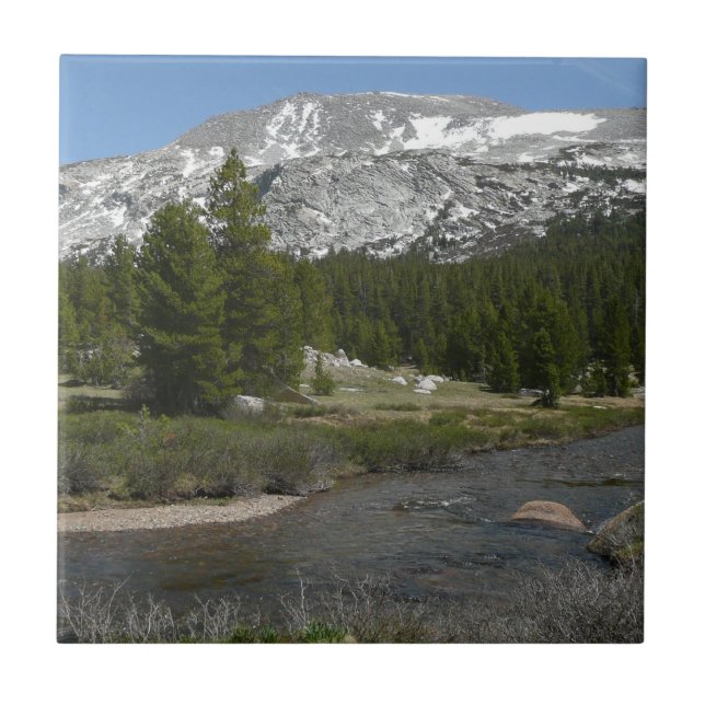 Höglandsbergström II vid Yosemite Kakelplatta (Framsidan)