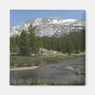 Höglandsbergström II vid Yosemite Magnet