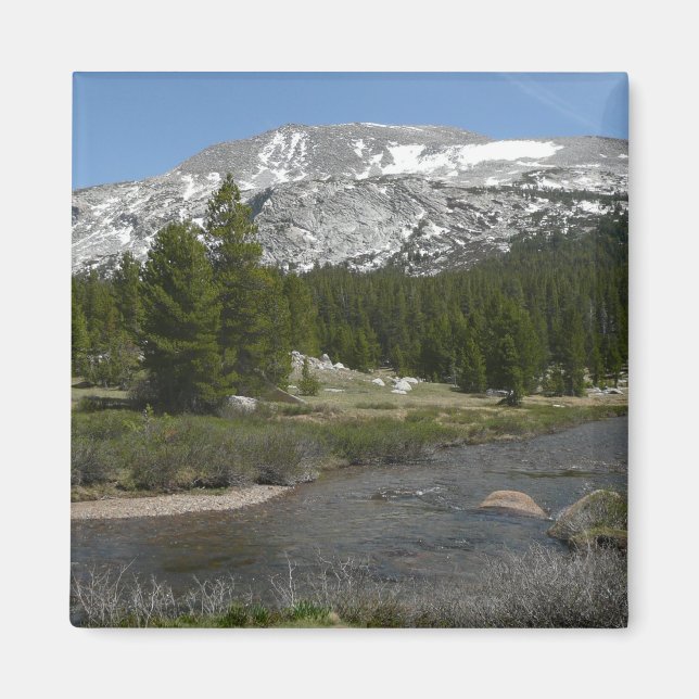 Höglandsbergström II vid Yosemite Magnet (Framsidan)
