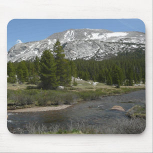 Höglandsbergström II vid Yosemite Musmatta