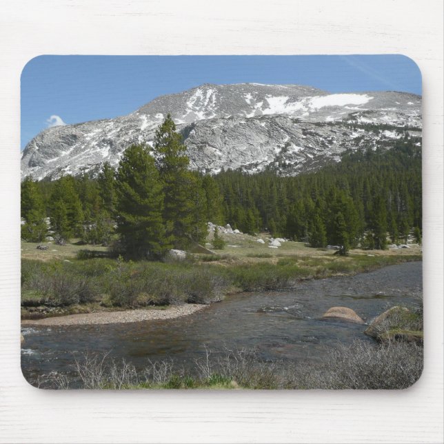 Höglandsbergström II vid Yosemite Musmatta (Framsidan)