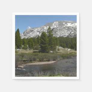 Höglandsbergström II vid Yosemite Pappersservett