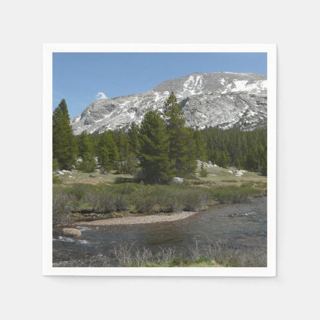 Höglandsbergström II vid Yosemite Pappersservett (Framsidan)
