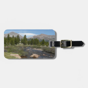 Höglandsbergström III vid Yosemite Bagagebricka