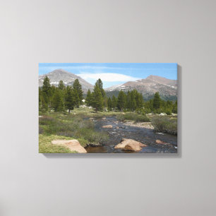 Höglandsbergström III vid Yosemite Canvastryck