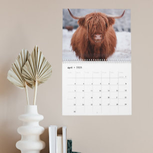 Höglandsboskap Bondgård Skottland Alla år Kalender