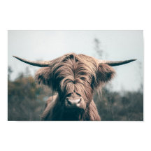Höglandsboskap porträtt