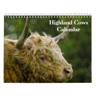 Höglandskon 2025 Kalender