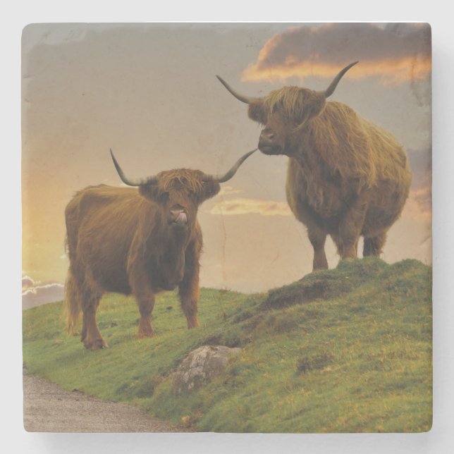 Höglandskor vid solnedgång stenunderlägg (Framsidan)