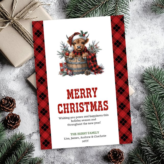 Höglandsnötkreatur julkort röda poinsettia (Highland cow Christmas card red poinsettias)