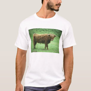 Höglandsstut, Mullön, Inre T-shirt
