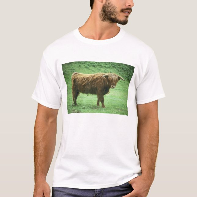 Höglandsstut, Mullön, Inre T-shirt (Framsida)