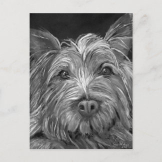 Höglandsterrirvykort Vykort