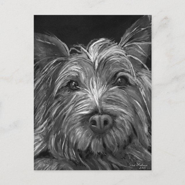 Höglandsterrirvykort Vykort (Framsida)