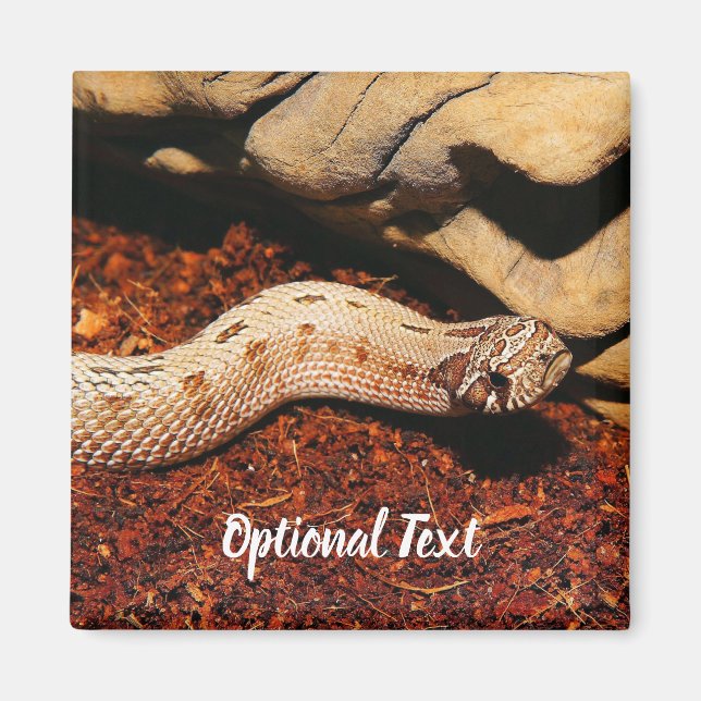 Hognos Pet Snake Magnet (Framsidan)