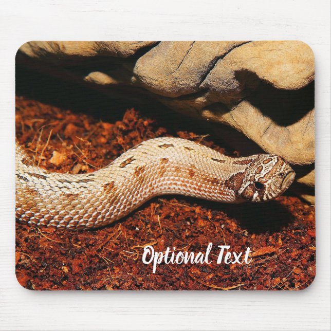 Hognos Pet Snake Musmatta (Framsidan)