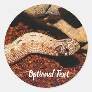 Hognos Pet Snake Runt Klistermärke
