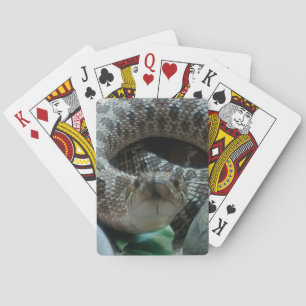 Hognose som leker kort spelkort