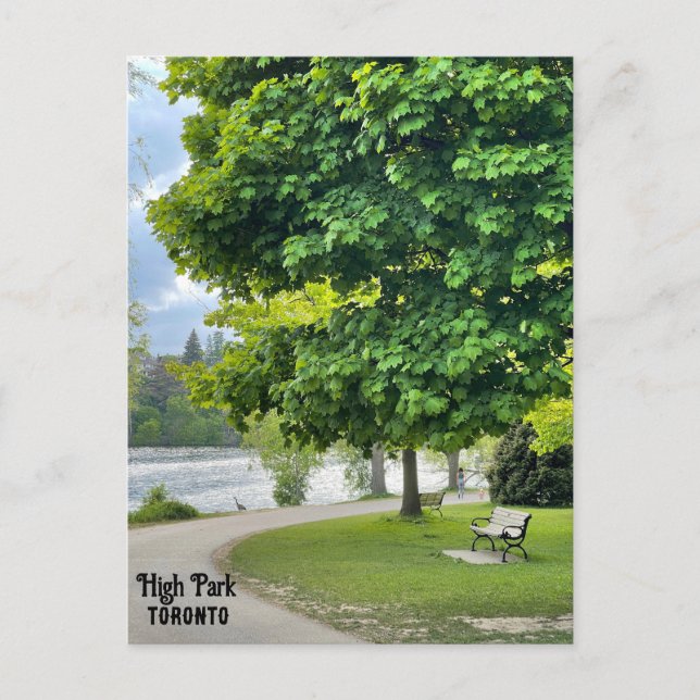 Högparkeringens Toronto-vykort Vykort (Framsida)