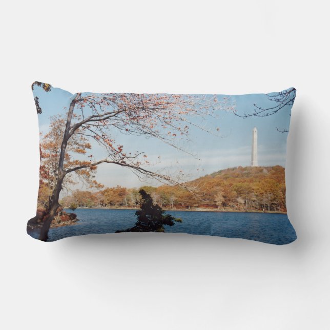 Högpunktsmonument Lumbarkudde (Framsida)