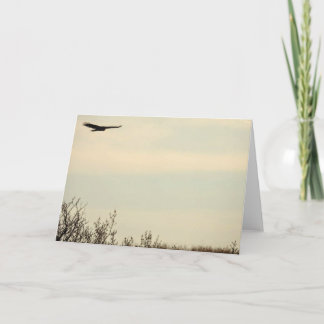 Högre anteckningskort för hawk