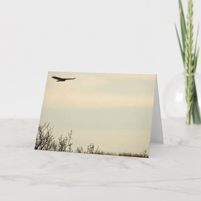 Högre anteckningskort för hawk (Framsida)