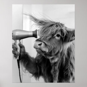 Högre land Cow som gör hårformatering Hämta Redo Poster