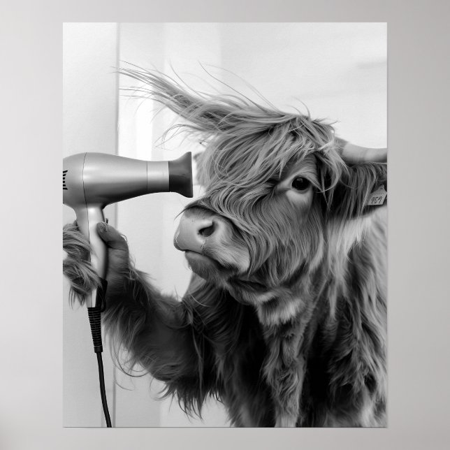 Högre land Cow som gör hårformatering Hämta Redo Poster (Framsidan)