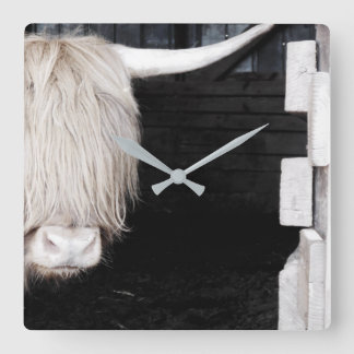 Högre land Cow Wall Clock, 10,75-tums Square Acryl Fyrkantig Klocka