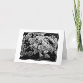 "Högre Morsa Blank Greeting Card Kort