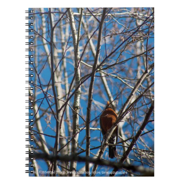 Högre upp anteckningsbok (Framsidan)