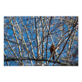 Högre upp fototryck