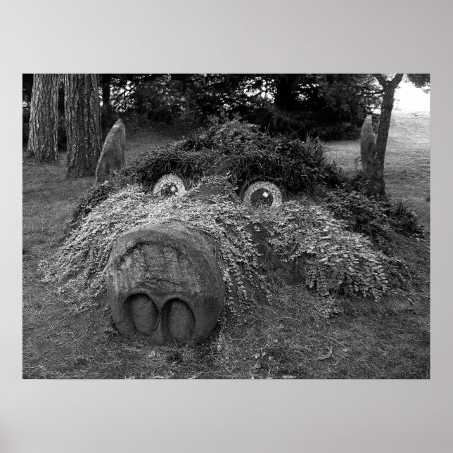 Hogs Head, Bute Park, Cardiff Poster (Framsidan)