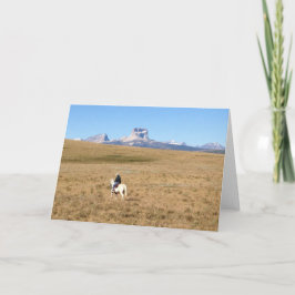 Högsta berg Montana Kort