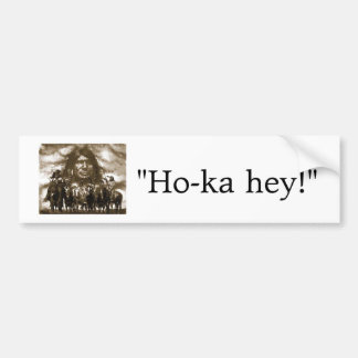 Högsta galen häst, "Ho-ka hey! ", Bildekal