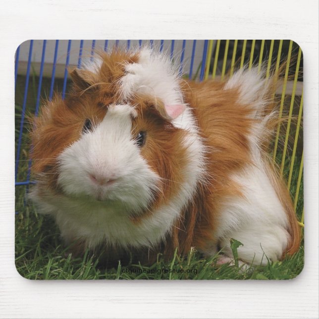 Högt där! (Mousepaden) Musmatta (Framsidan)