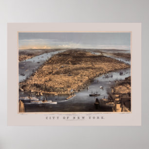 Högt över New York City 1856 Poster