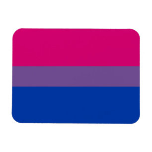 (Högvärdig) magnet för Biprideflagga,