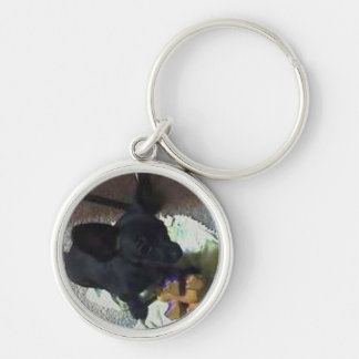 HÖGVÄRDIG NYCKELRING "FÖR BABY POKEMON"