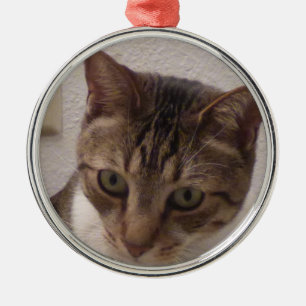 Högvärdig rundaprydnad för tabby katt julgransprydnad metall