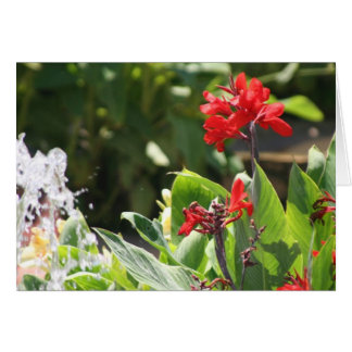 Högväxt röd blomma hälsningskort