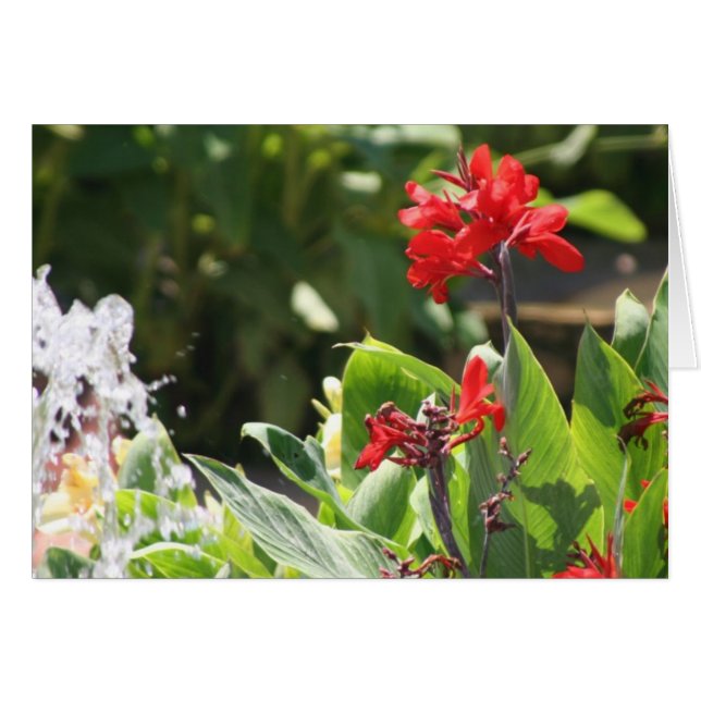 Högväxt röd blomma hälsningskort (Framsidan Horizontal)