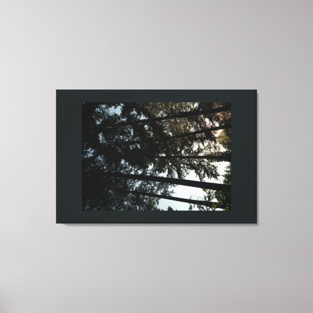 Högväxt stativ canvastryck (Framsida)