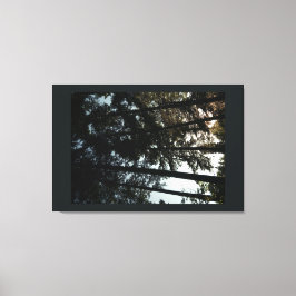 Högväxt stativ canvastryck