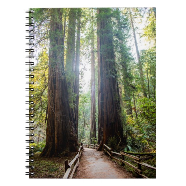 Högväxt träd anteckningsbok (Framsidan)