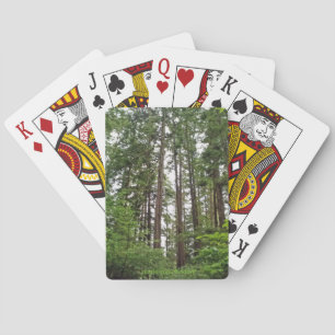 Högväxt träd som leker kort casinokort